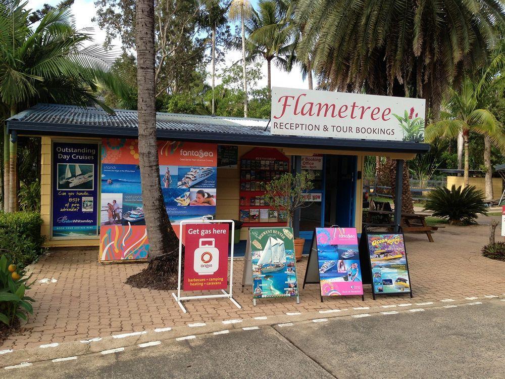 Big4 Whitsundays Tropical Eco Resort Airlie Beach Exteriör bild